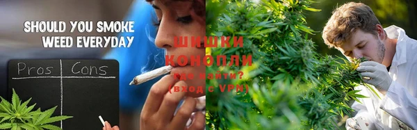 сатива Алексин