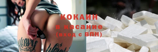 сатива Алексин