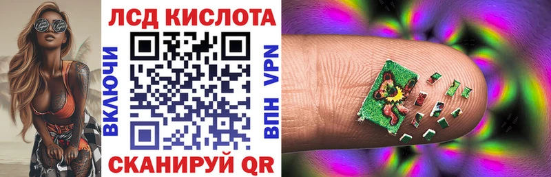 ссылка на мегу ССЫЛКА  Курганинск  Наркотические марки 1500мкг  где продают  